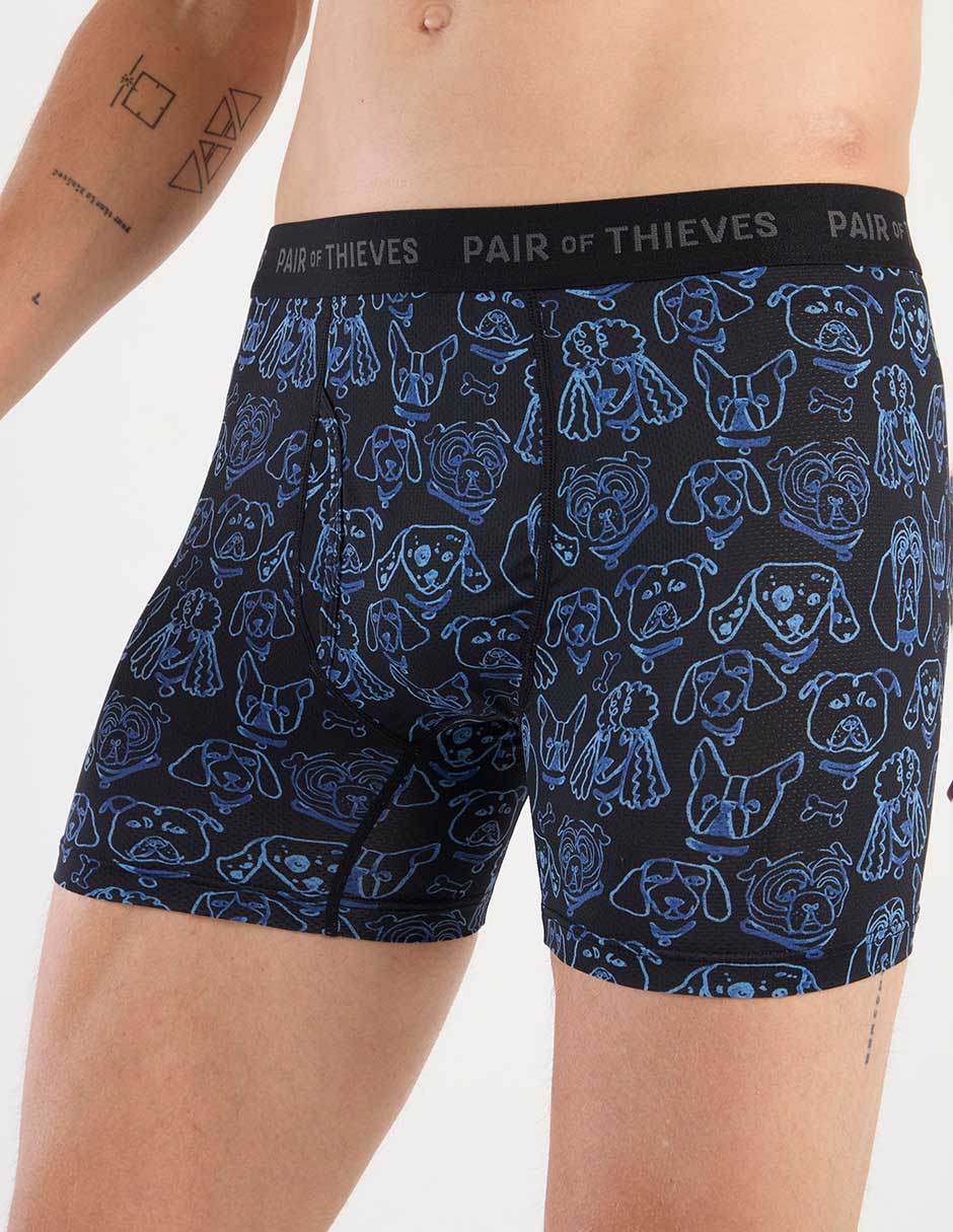 Bóxer brief Pair Of Thieves para hombre