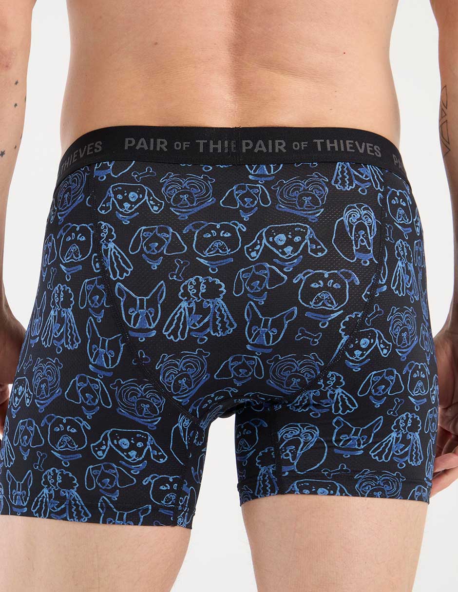 Bóxer brief Pair Of Thieves para hombre