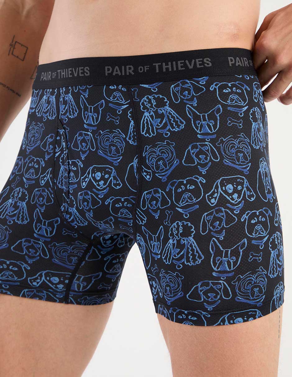 Bóxer brief Pair Of Thieves para hombre