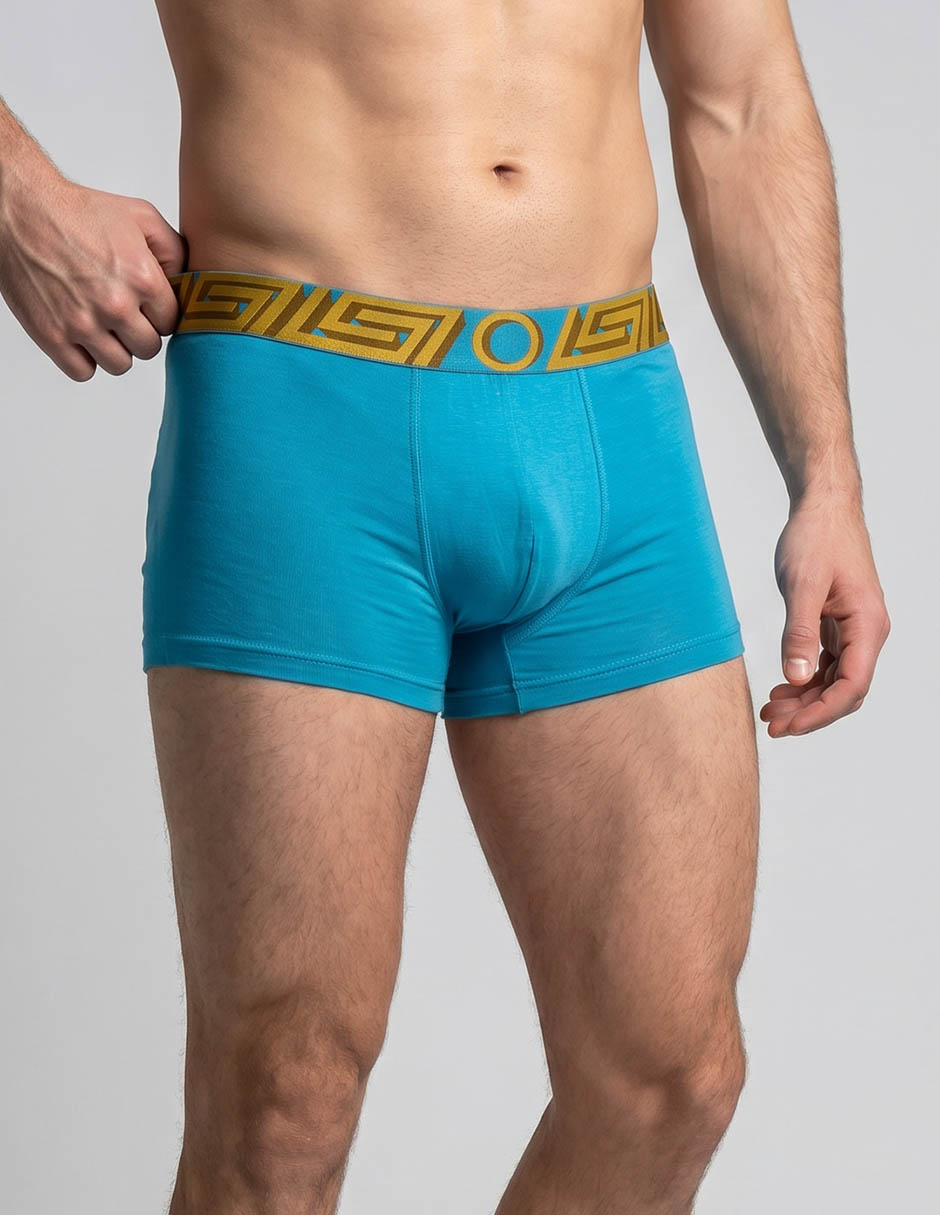 Set bóxer trunk para hombre 5 piezas 4